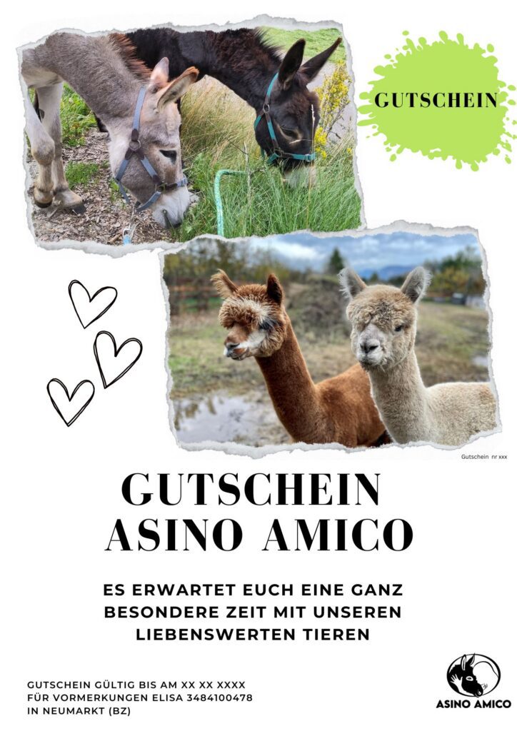 _Gutschein